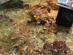 -盒马鲜生(宝地店)