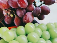 -马陆小张葡萄园农家乐