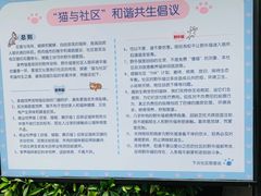 -猫咪博物馆(顶澳仔猫街店)