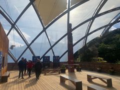 -怀托摩萤火虫洞