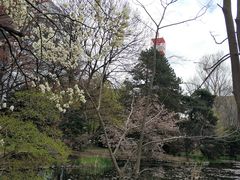 -北海道厅旧本厅舍(旧本庁舎)