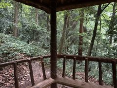 -青城山