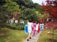 -广州市帽峰山景区