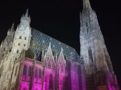 -斯蒂芬主教座堂(Stephansdom)