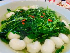 鱼丸汤-好福记饭店(红梅公园店)