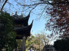 -长广溪湿地公园
