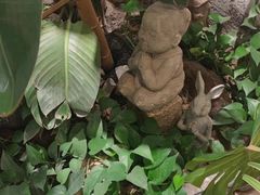 -如禾素食·下午茶·糖水