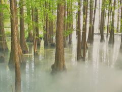 -东湖落雁景区