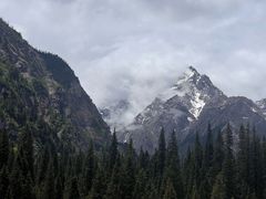 -白马王朗自然风景区