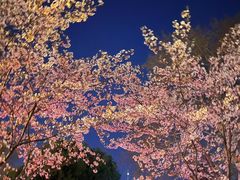 -鸡鸣寺