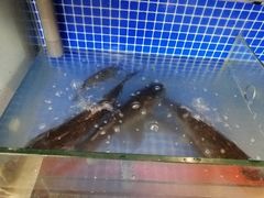 -红烧鱼头·杭帮菜·特色烧烤