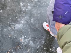 -圆明园停车场