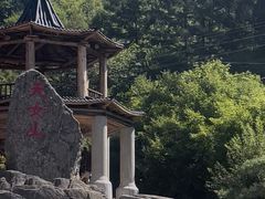 -天女山森林公园