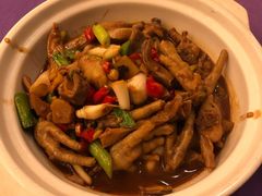 -明月山天沐温泉度假村