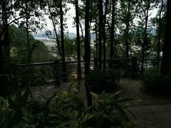 -南岗山公园