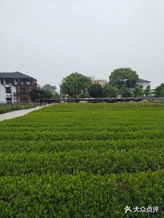听风阁农家私房菜茶楼(龙坞店)图片