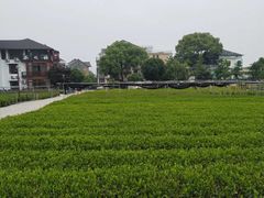 -听风阁农家私房菜茶楼(龙坞店)