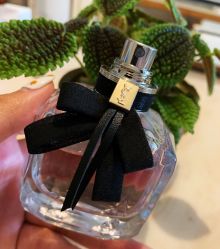 -YVESSAINTLAURENT