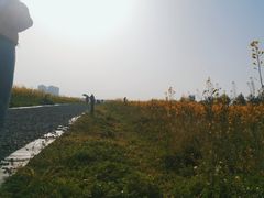 -汉长安城未央宫国家考古遗址公园