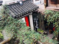 -普洱茶府(博乐广场店)