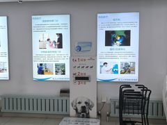 -北京观赏动物医院·24小时大型综合·猫专科·异宠专科