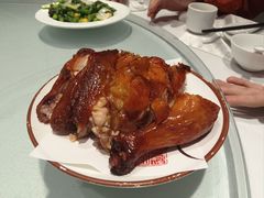 -凯鸽酒楼(操场城店)