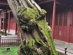 -太平天国侍王府