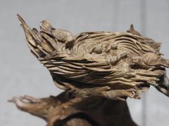 -平原博物院
