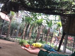 -呀路古热带植物园