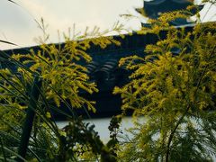 -月栖华明-云间草堂清茶馆(泗泾古镇店)