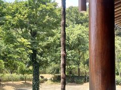 -黄公望隐居地