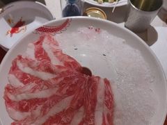 -小龙坎火锅(全球旗舰店)
