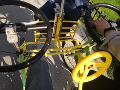 -合肥滨湖国家森林公园