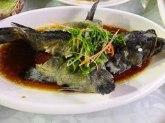 清蒸老虎石斑鱼-范饭椰林川湘味海鲜·椰子鸡(三亚湾椰梦长廊店)