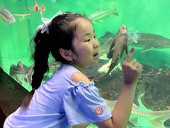 -太平洋海底世界