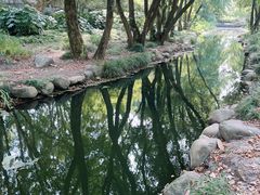 -上海共青森林公园