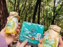-云龙山