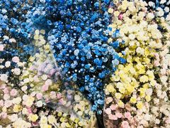 -花舍·新派粤菜·西餐·下午茶(亚运村·鸟巢店)