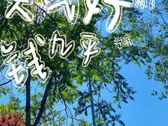 -有料儿铜锅(白堤路店)