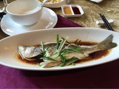iphone_upload_pic-十八棵（老龙井）御茶园(老龙井店)