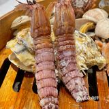 自带剥虾服务的海鲜店，爱了爱了！