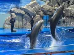 -福州罗源湾海洋世界旅游区