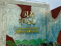 -广东惠东海龟国家级自然保护区