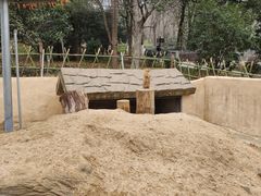 -合肥野生动物园