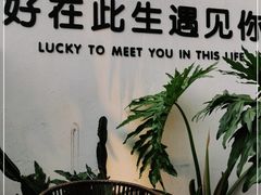 -云里小坐·小院里·团建·宴请·下午茶(三圣乡店)