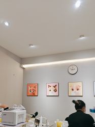 -洗脸猫·洗脸吧