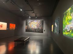 -罗红摄影艺术馆