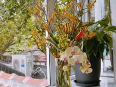 -蝶舍·MAISON PAPILLON