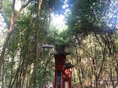 -老君山