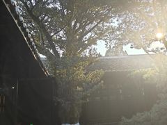 -八大山人梅湖景区